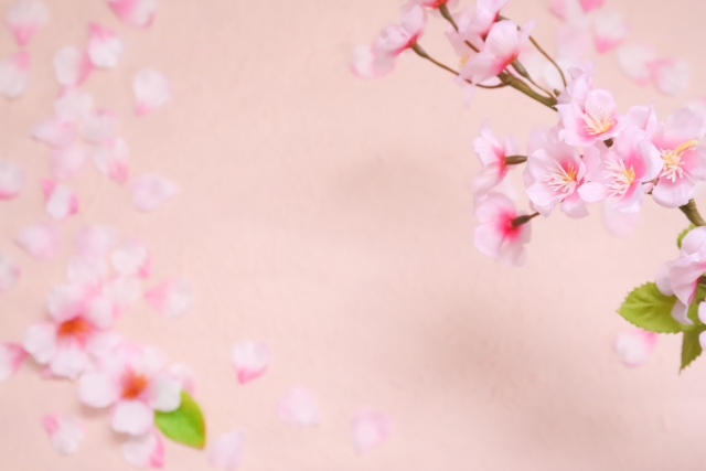 Hoa anh đào Nhật Bản: Hoa anh đào là biểu tượng của sự thanh tao và tự do. Với những bức ảnh hoa anh đào Nhật Bản đẹp lung linh, bạn sẽ không chỉ cảm nhận được vẻ đẹp nguyên sơ trong thiên nhiên mà còn hiểu thêm về văn hóa và tinh thần của người Nhật.